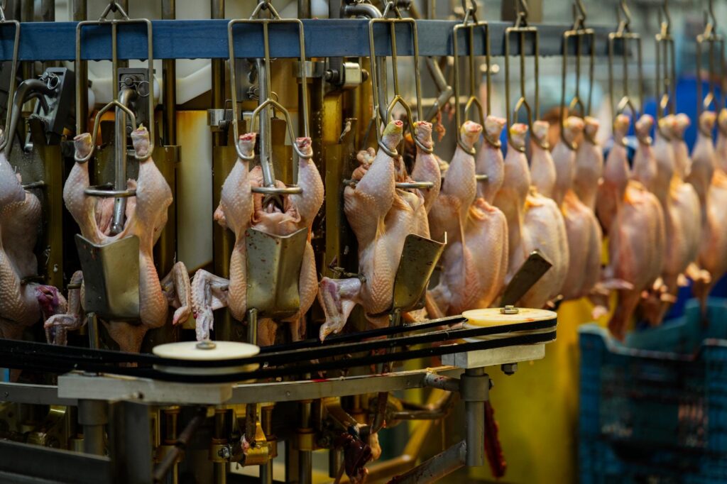 KrasKov М'ясна продукція найвищої якості в Україні